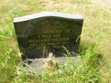 image of grave number 384981